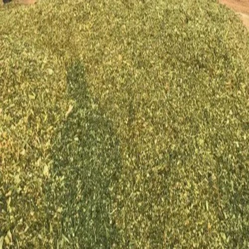 Multicut Fodder Silage